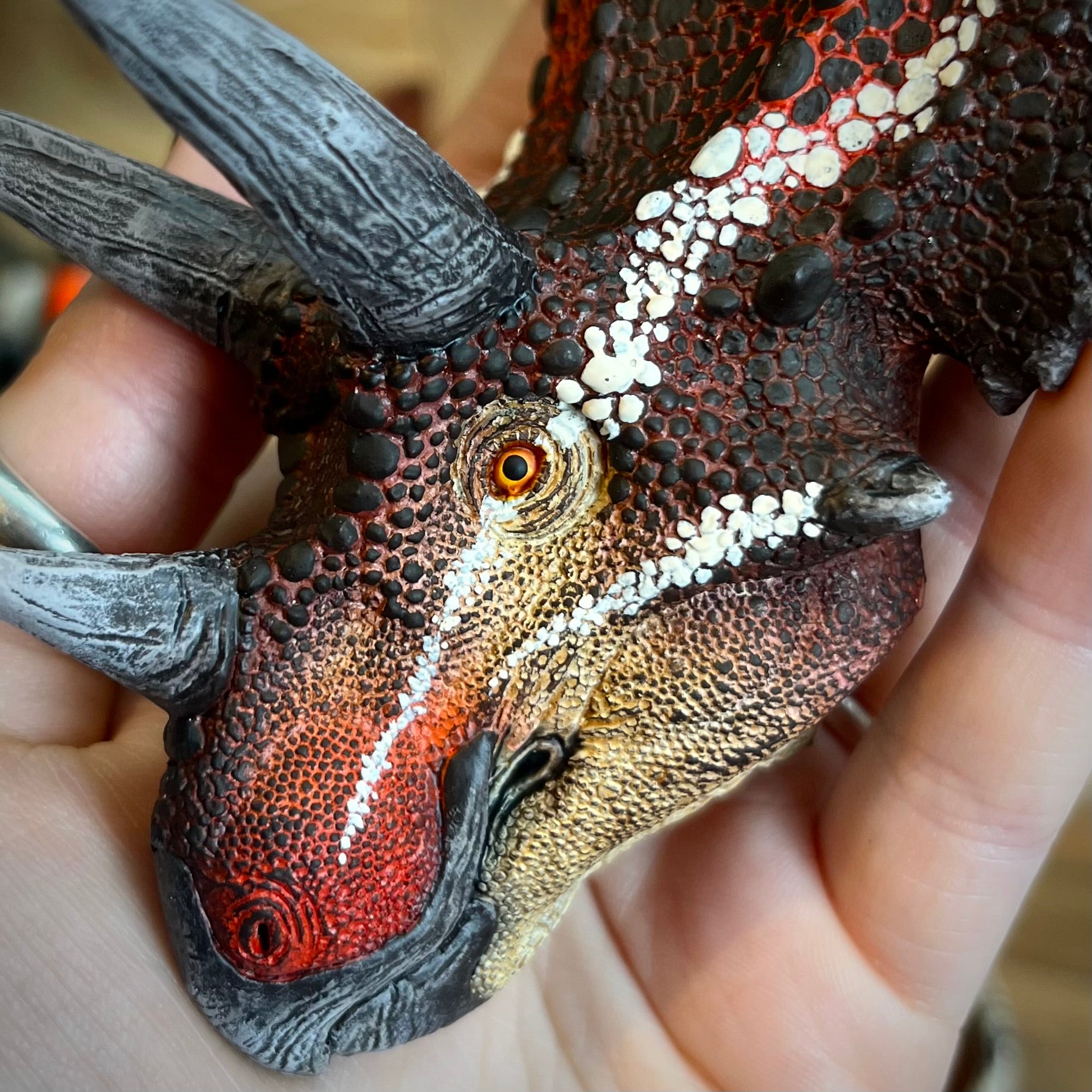Painted Pentaceratops- Red Valentine