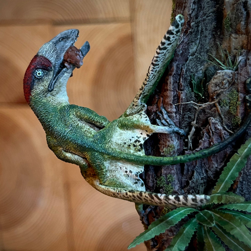 Miniature Dimorphodon Display Green Woodpecker
