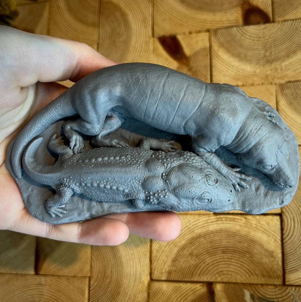 Trassic Cuddle Triassic Cuddle/ Strange Bedfellows fossil reconstruction- Blank Cast ...