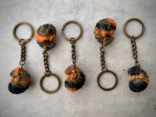 Ankylosaurus Keyrings Halloween Edition