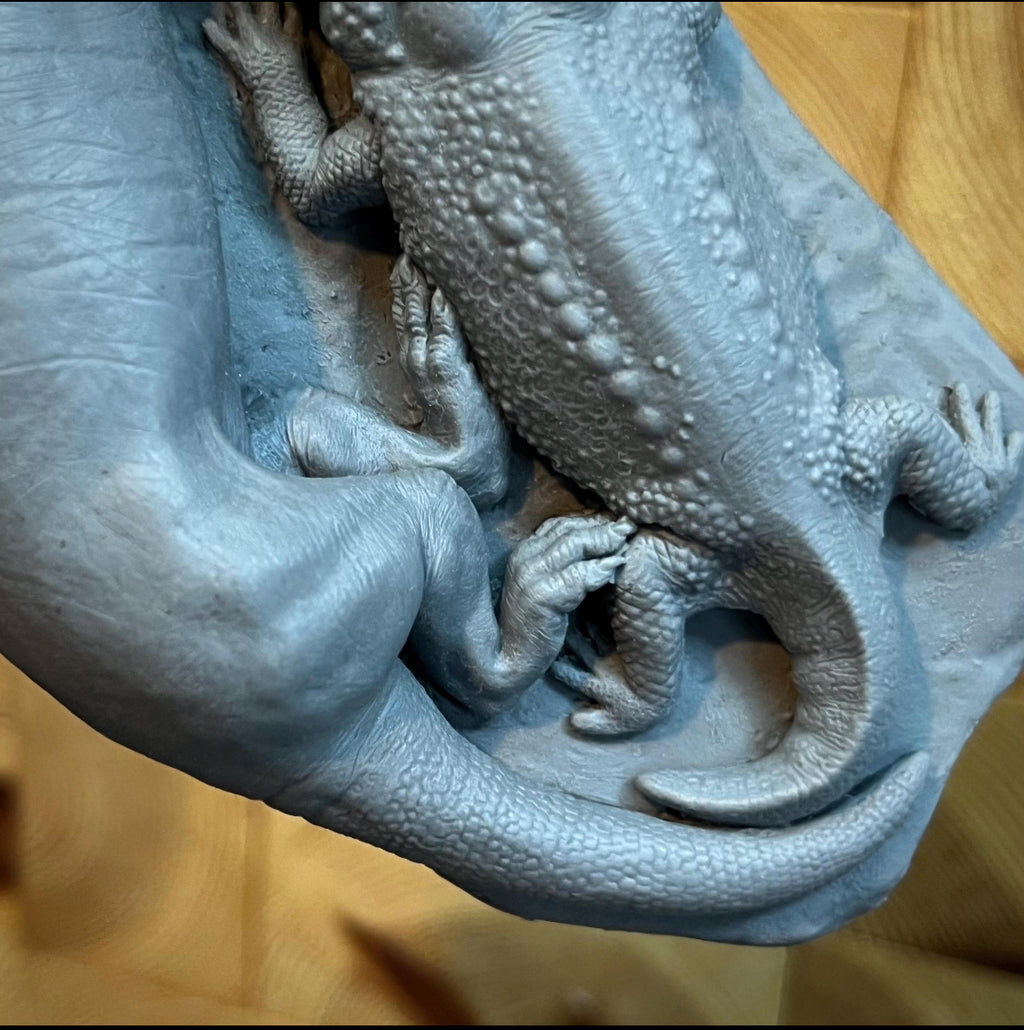 Triassic Cuddle/ Strange Bedfellows fossil reconstruction- Blank Cast