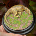 Toad Tyrannosaurus Rex Pedestal - Halloween Special 1 Of 1