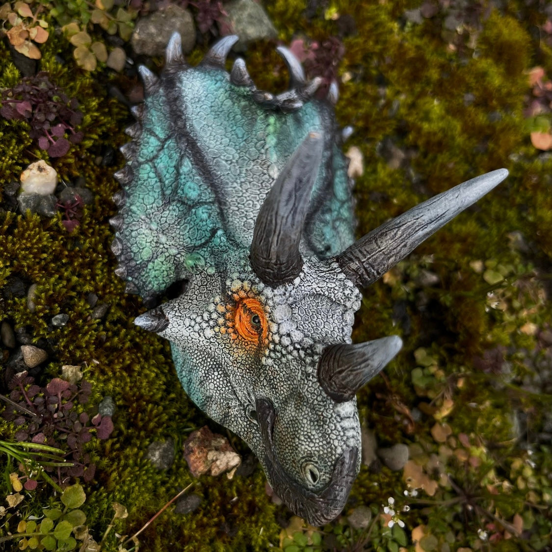 Custom Painted Pentaceratops Head Slot