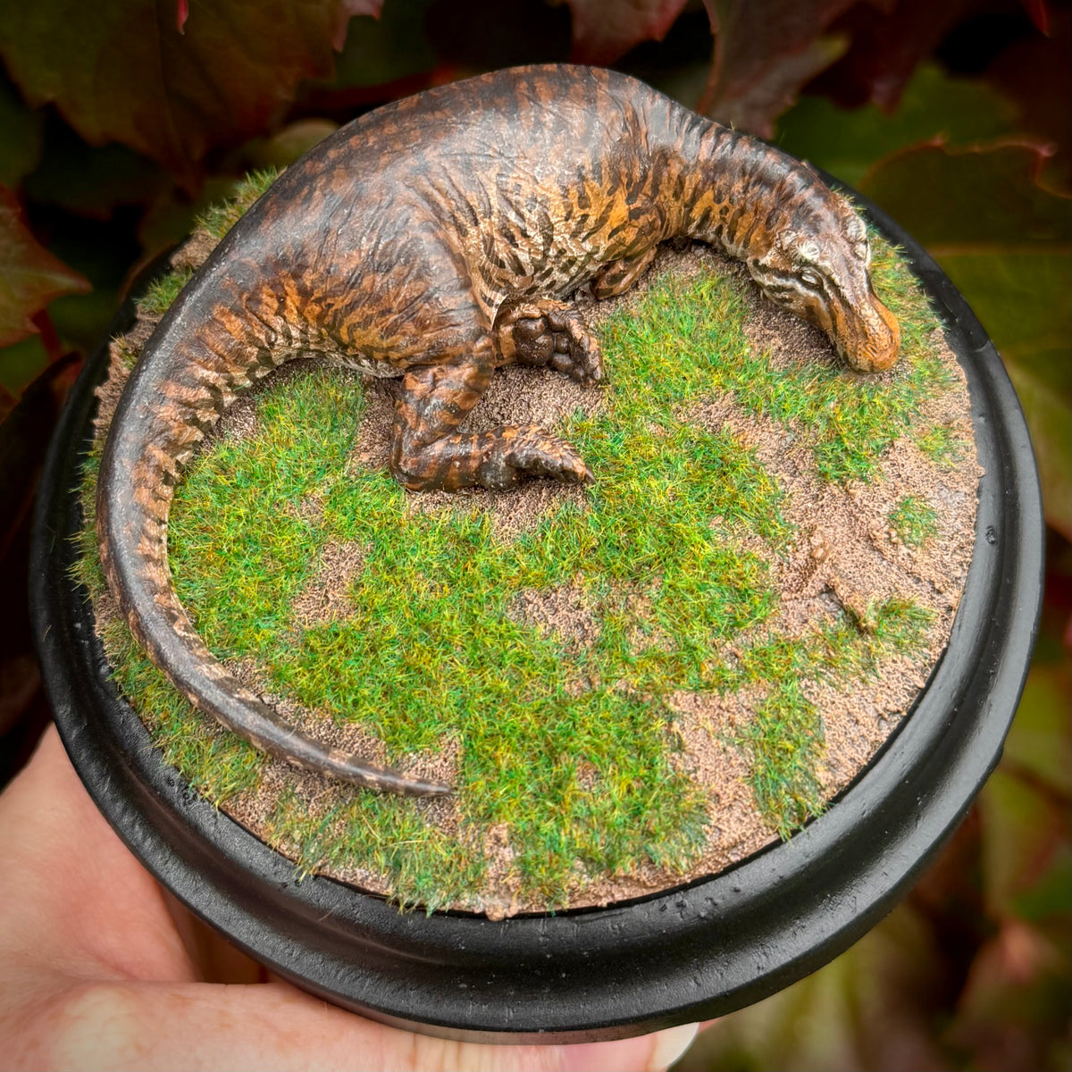 Tabby Cat Tyrannosaurus Rex Pedestal - Halloween Special 1 Of 1