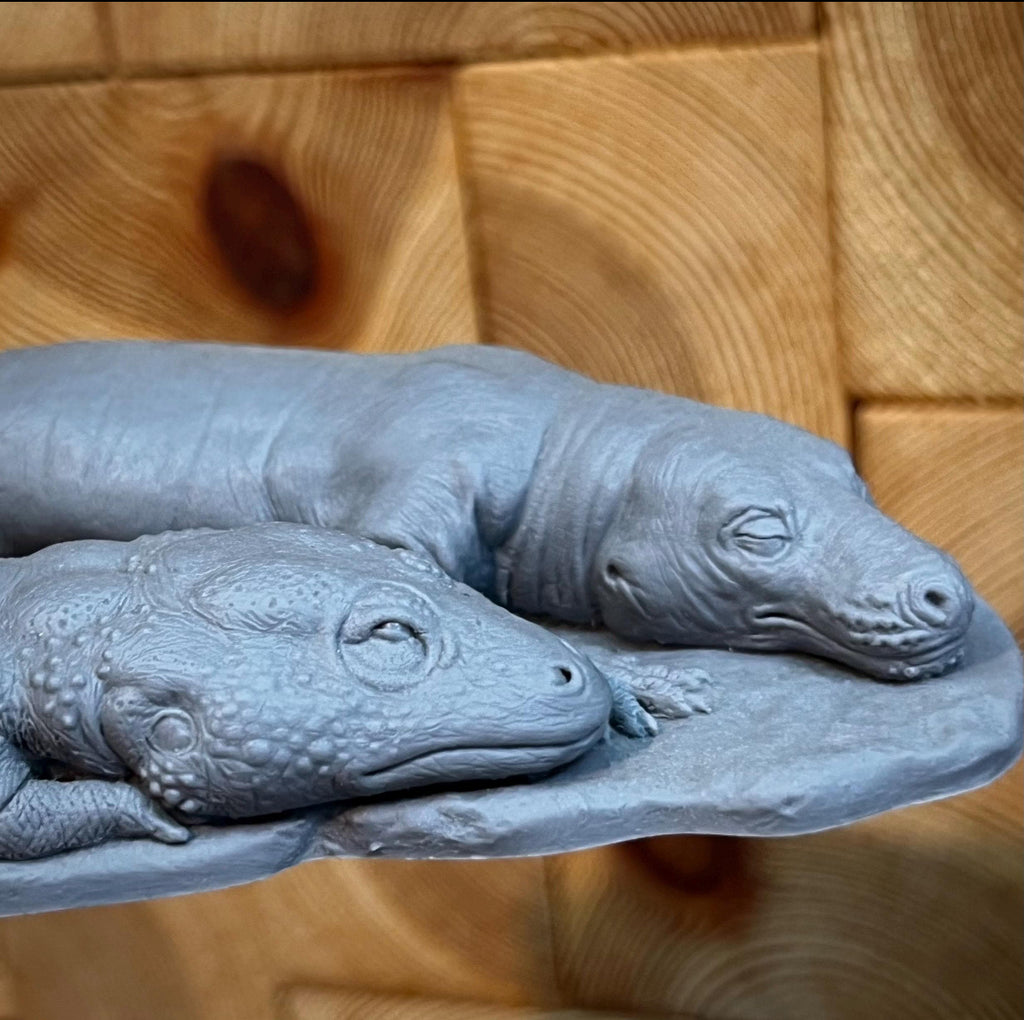 Triassic Cuddle/ Strange Bedfellows fossil reconstruction- Blank Cast