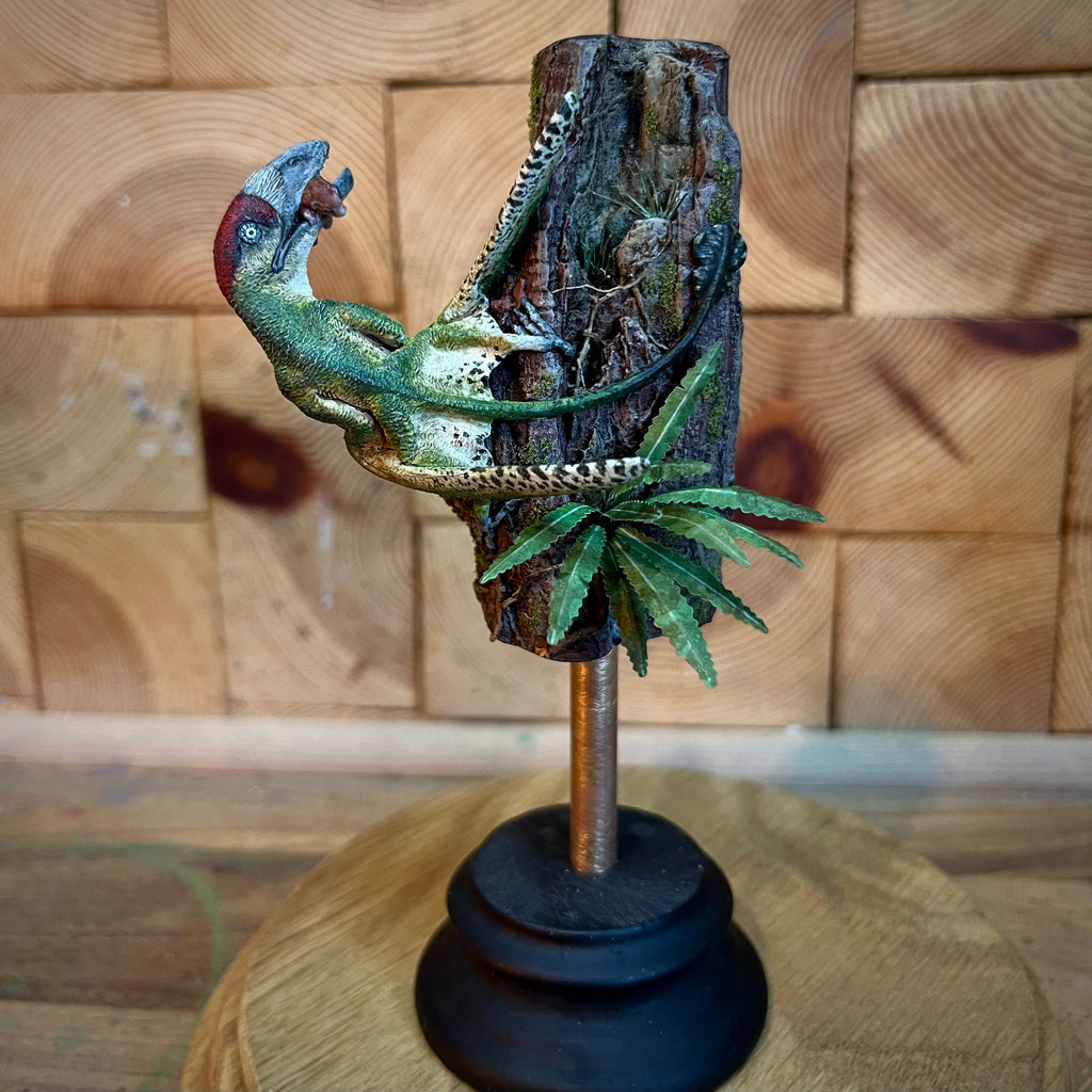 Miniature Dimorphodon Display Green Woodpecker