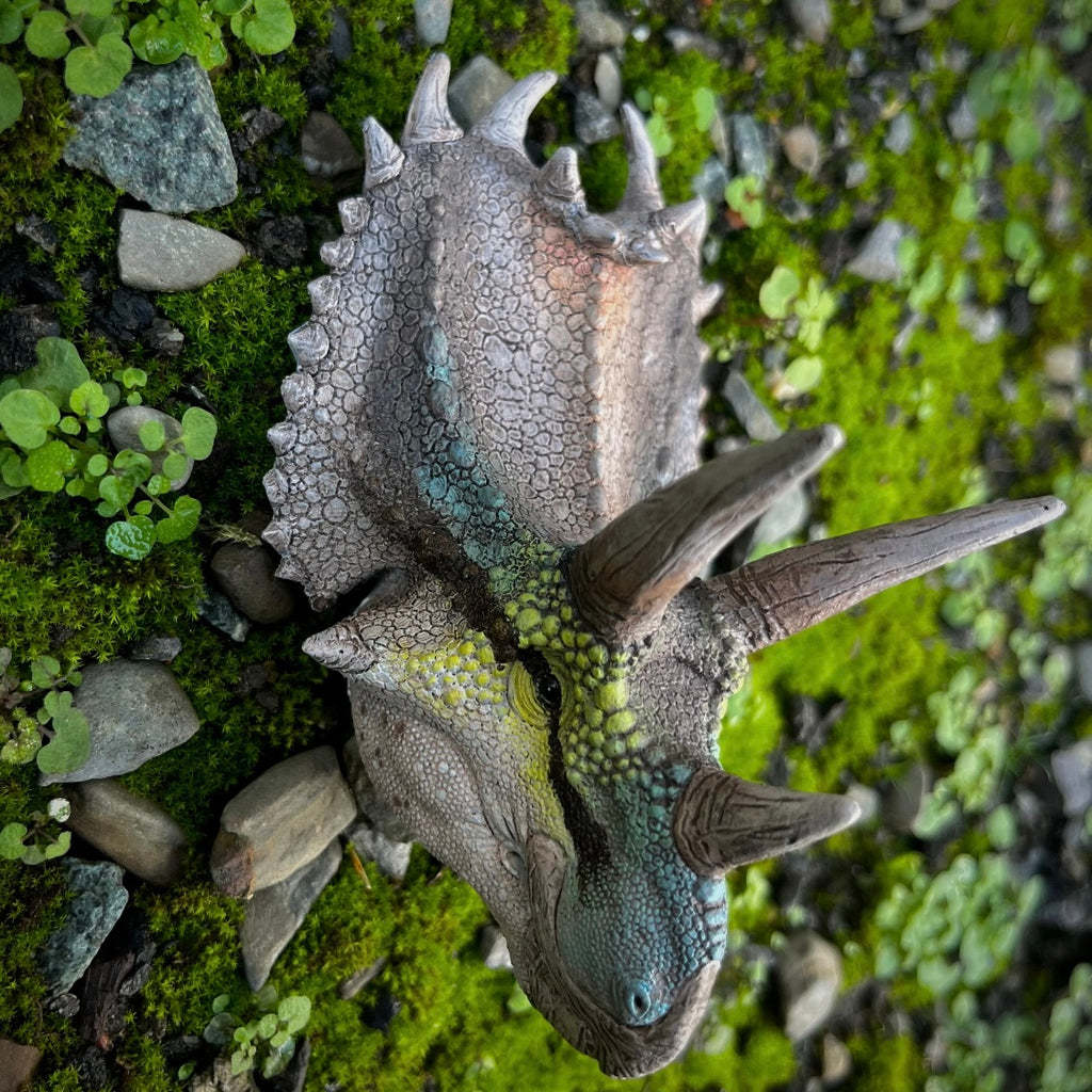 Custom Painted Pentaceratops Head Slot