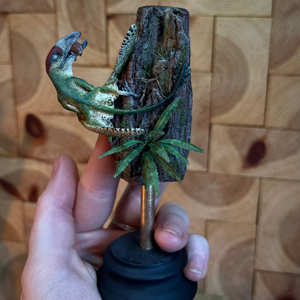 Miniature Dimorphodon Display Green Woodpecker