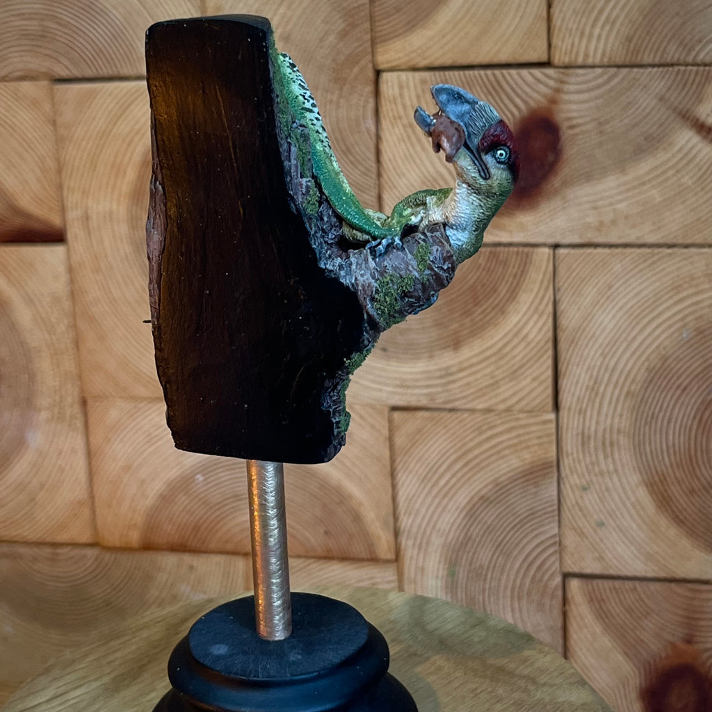 Miniature Dimorphodon Display Green Woodpecker