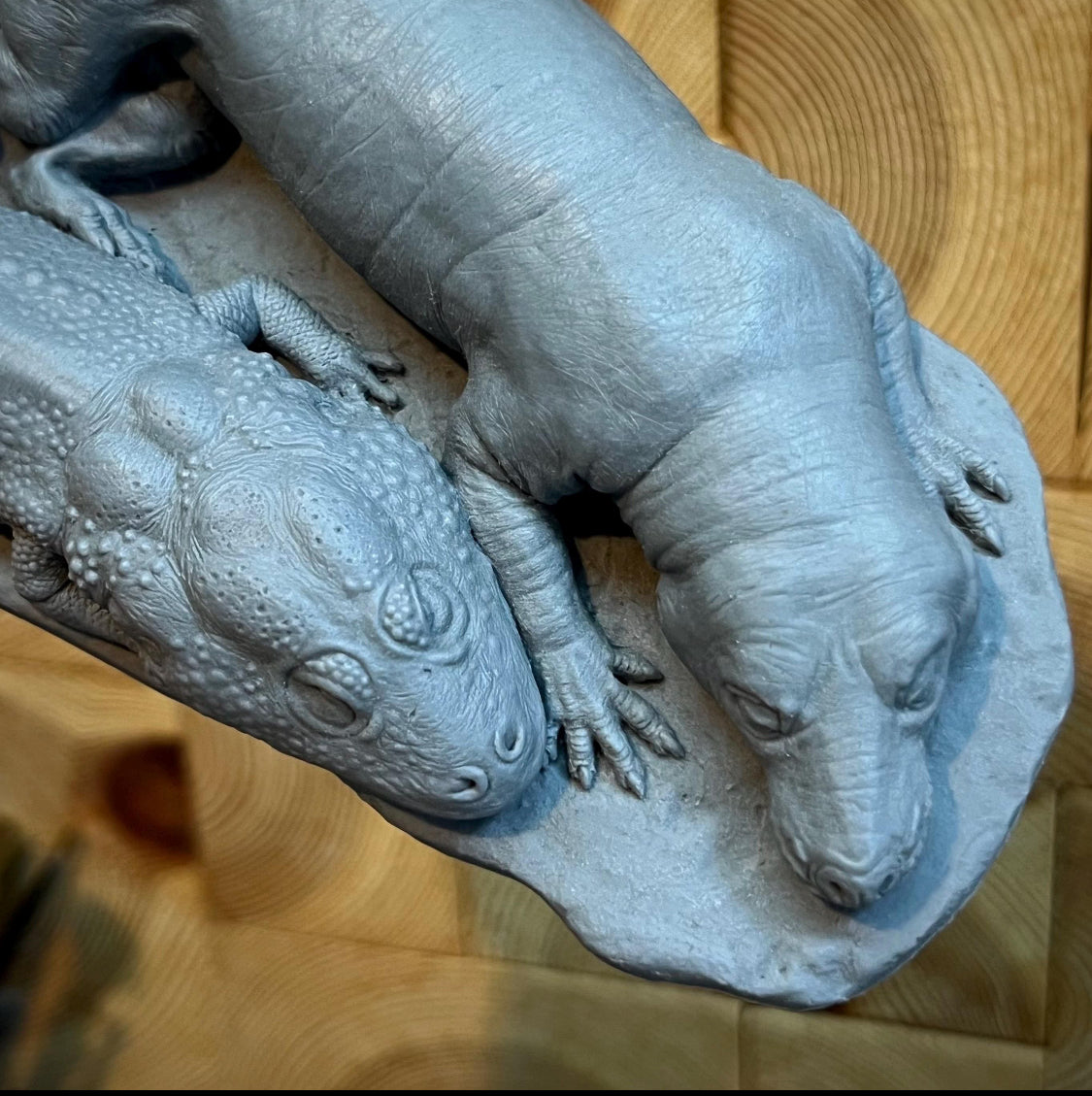 Triassic Cuddle/ Strange Bedfellows fossil reconstruction- Blank Cast