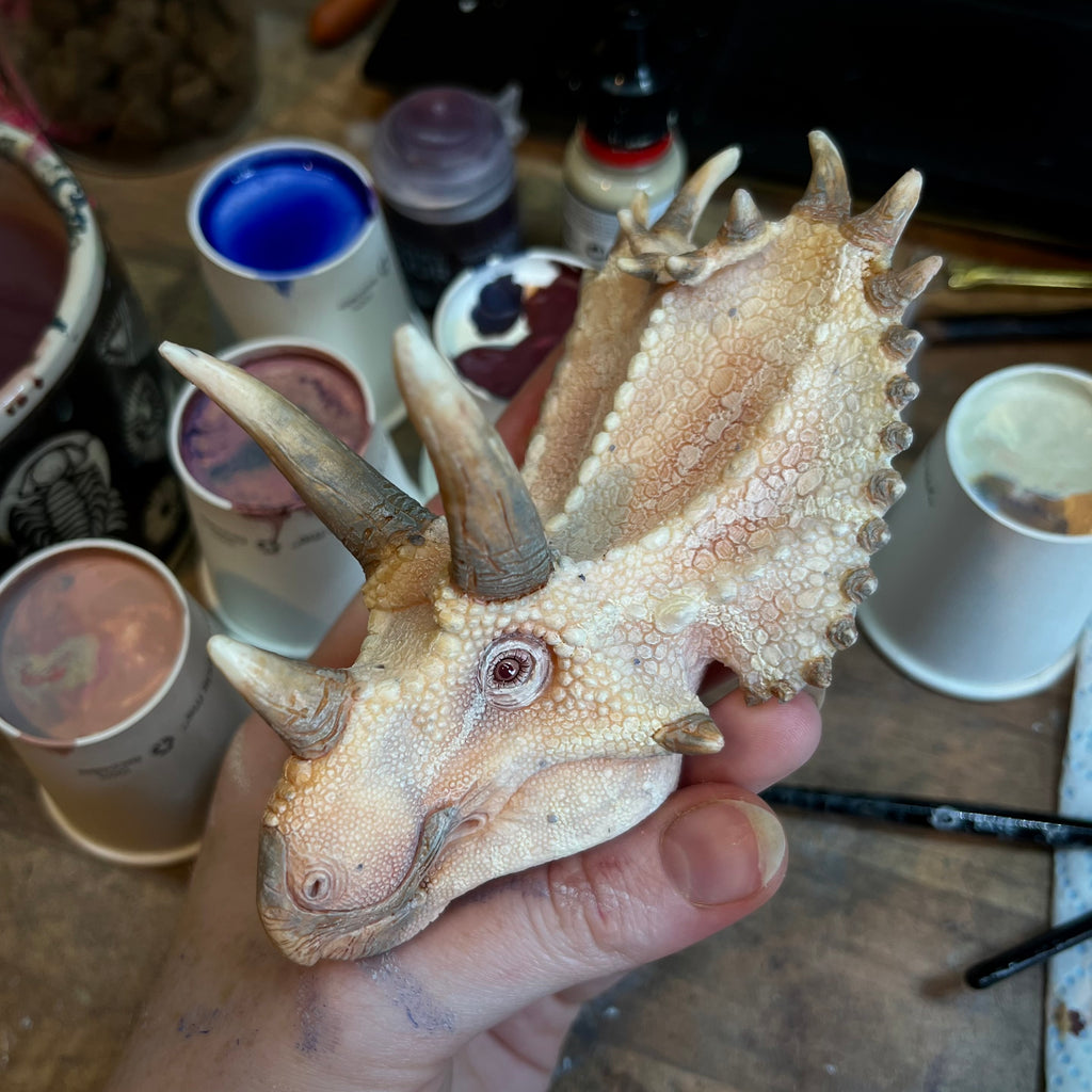 Custom Painted Pentaceratops Head Slot
