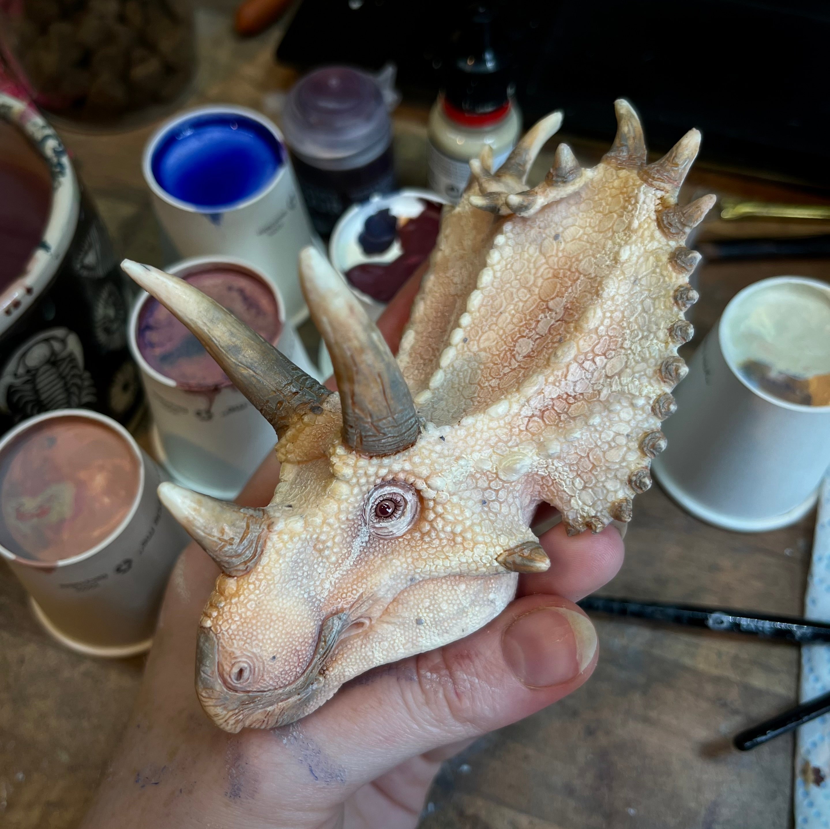 Custom Painted Pentaceratops Head Slot