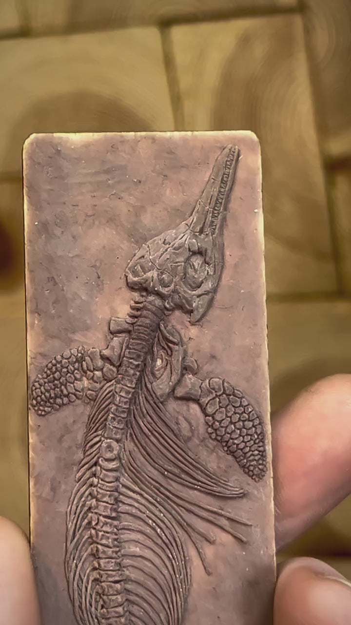 Blank Miniature Ichthyosaurus Fossil Replica
